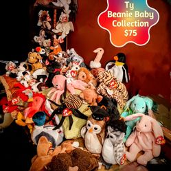 Ty Beanie Babies 