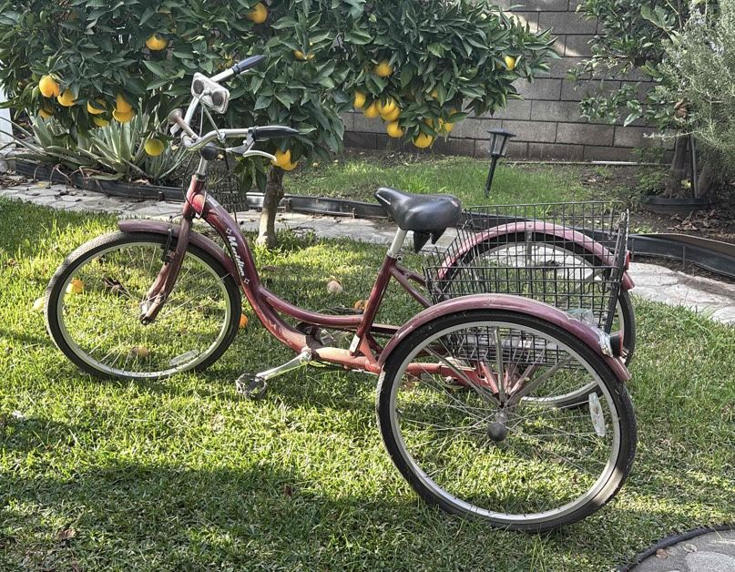 Schwinn 3 Wheel Bike