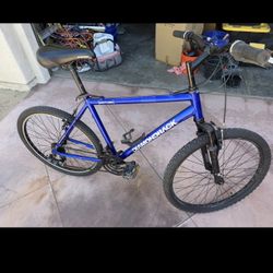 Mountain Bike. 