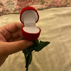 Red rose flower ring Case 