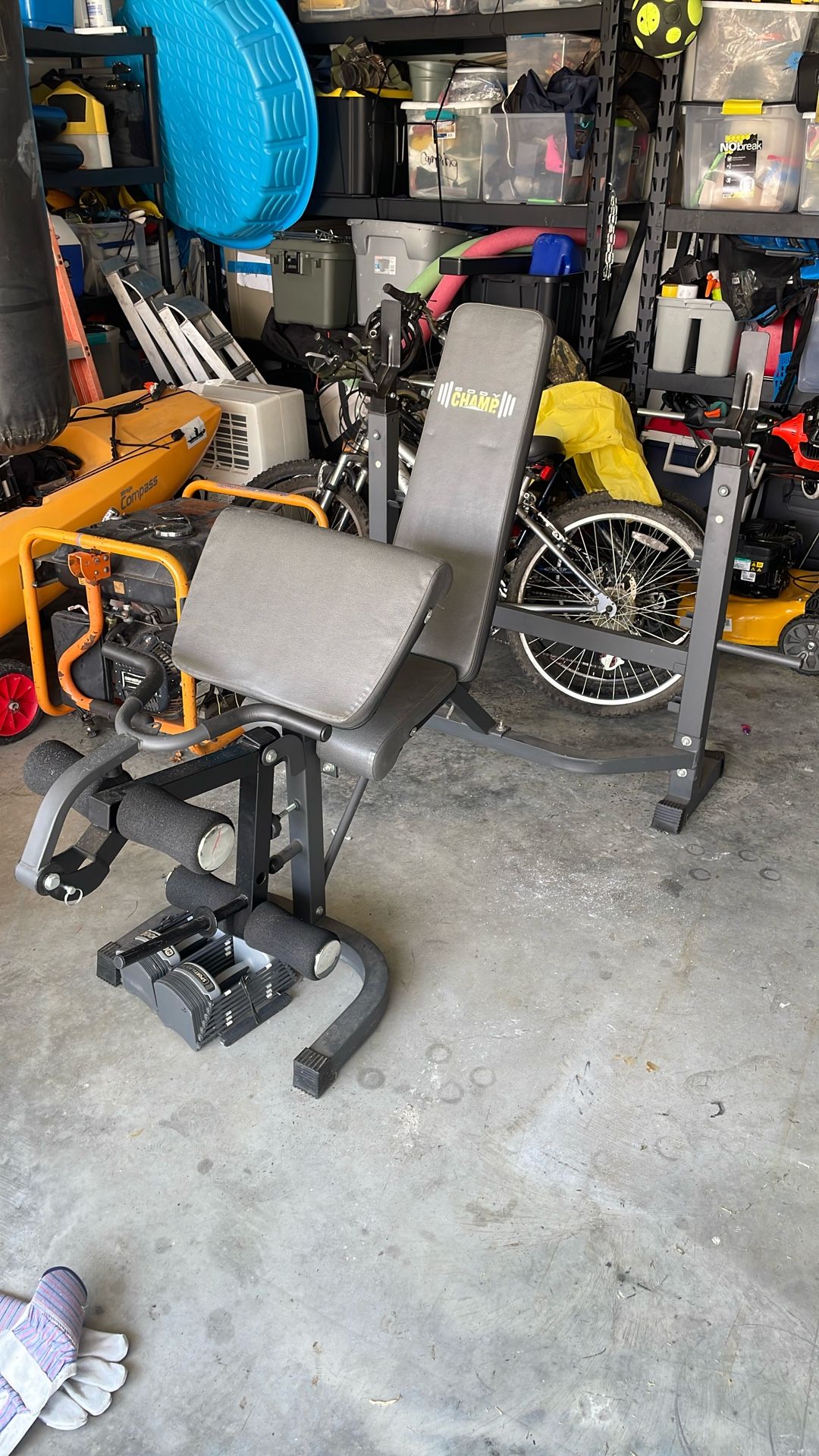 Body Champ Exercise Bench