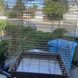 Large & High Birds Cage 