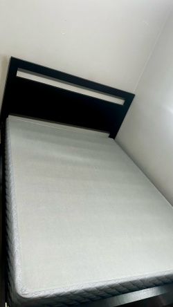 Free Queen Box spring