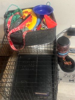 Dog stuff