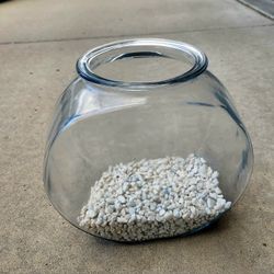 Beta Fish Bowl