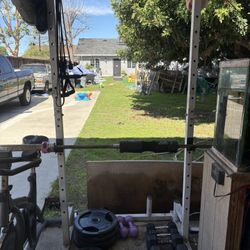 Squat Rack And Weights