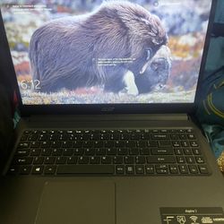 Acer 15.6" 144Hz i5- 11400H Gaming Laptop,8GB,512 GB