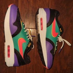 Nike Air Max 1 Windbreaker
