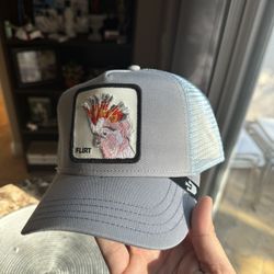 Brand New Trucker Hat 