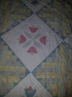 Beautiful light weight spread it's a size queen