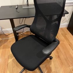 Electric Standing Desk & Chair