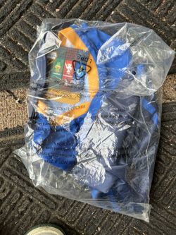 Pokémon go 10 anniversary jersey