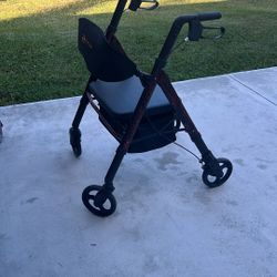 Regal Rhythm Laser Red Walker 450lbs Capacity