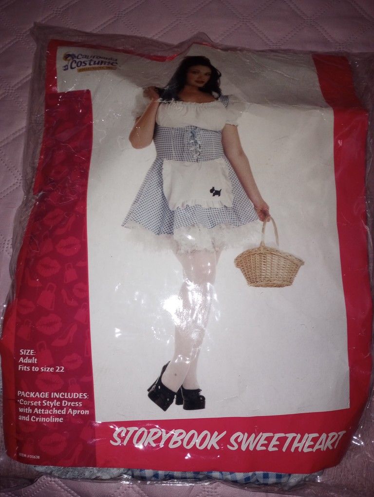 Women's Plus Size Costume Used In Good Condition