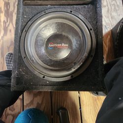 Single 12 With 1600 watt Massive Amp