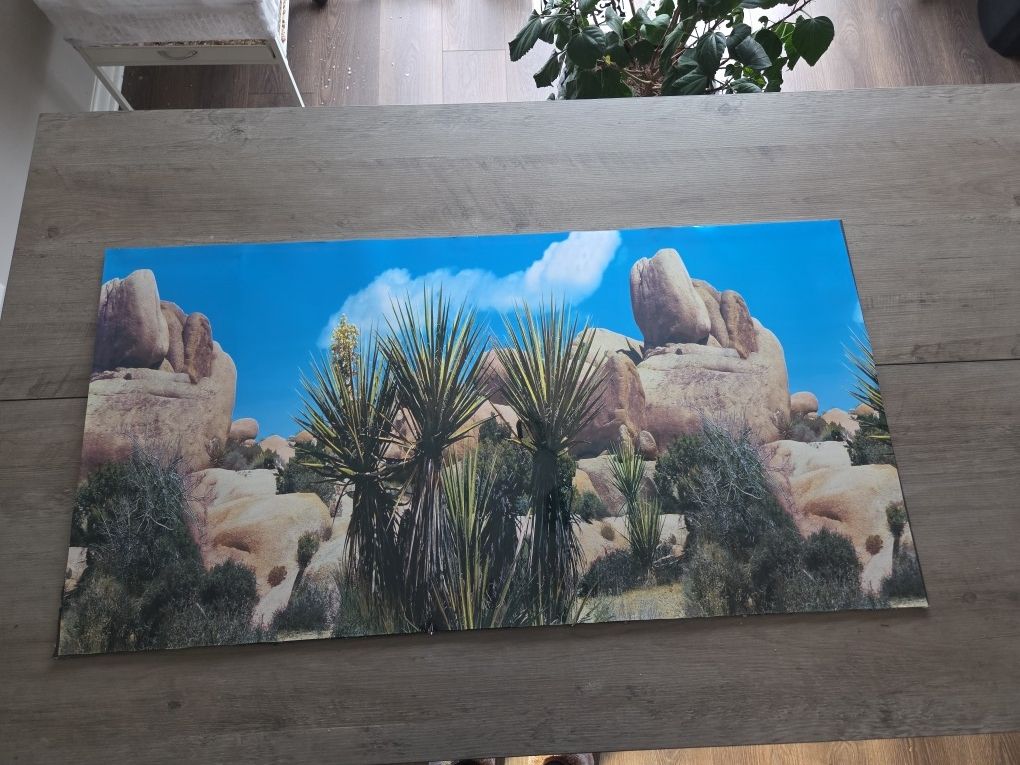 40 Gallon Tank Desert Background