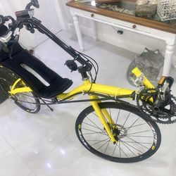 Performance Recumbent Bike