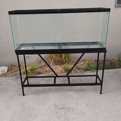 55 Gallon Aquarium With Stand