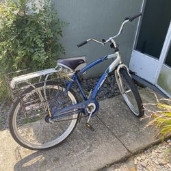 Adult Bike 