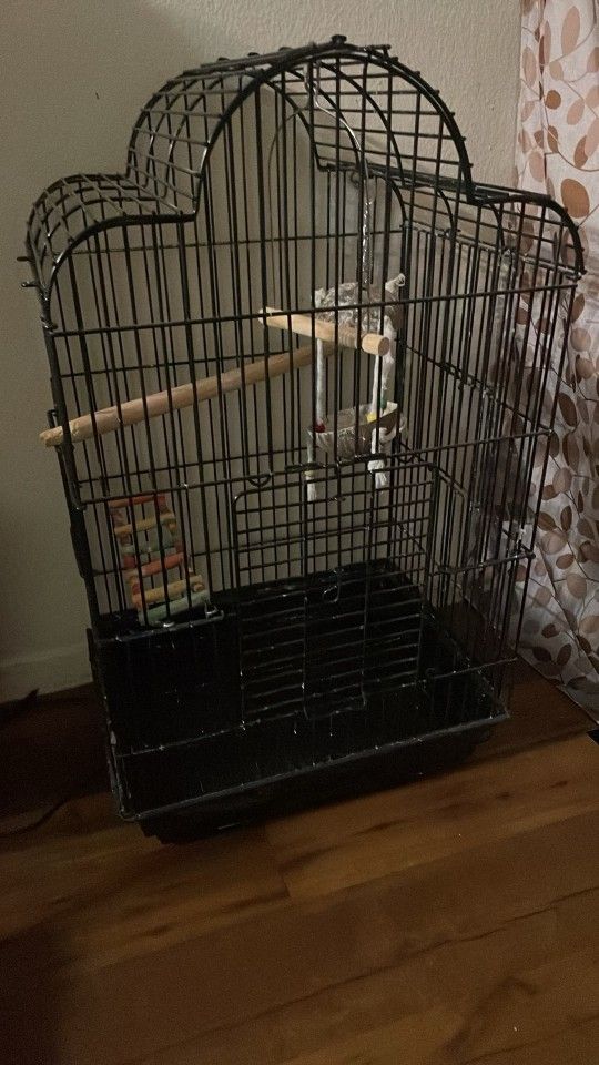 Bird Cage