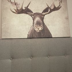 Moose Wall Art