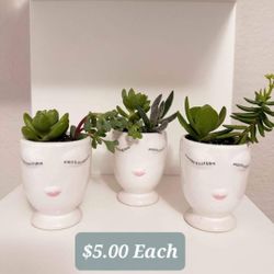 Mini Ceramic Face Planters with Live Succulents 