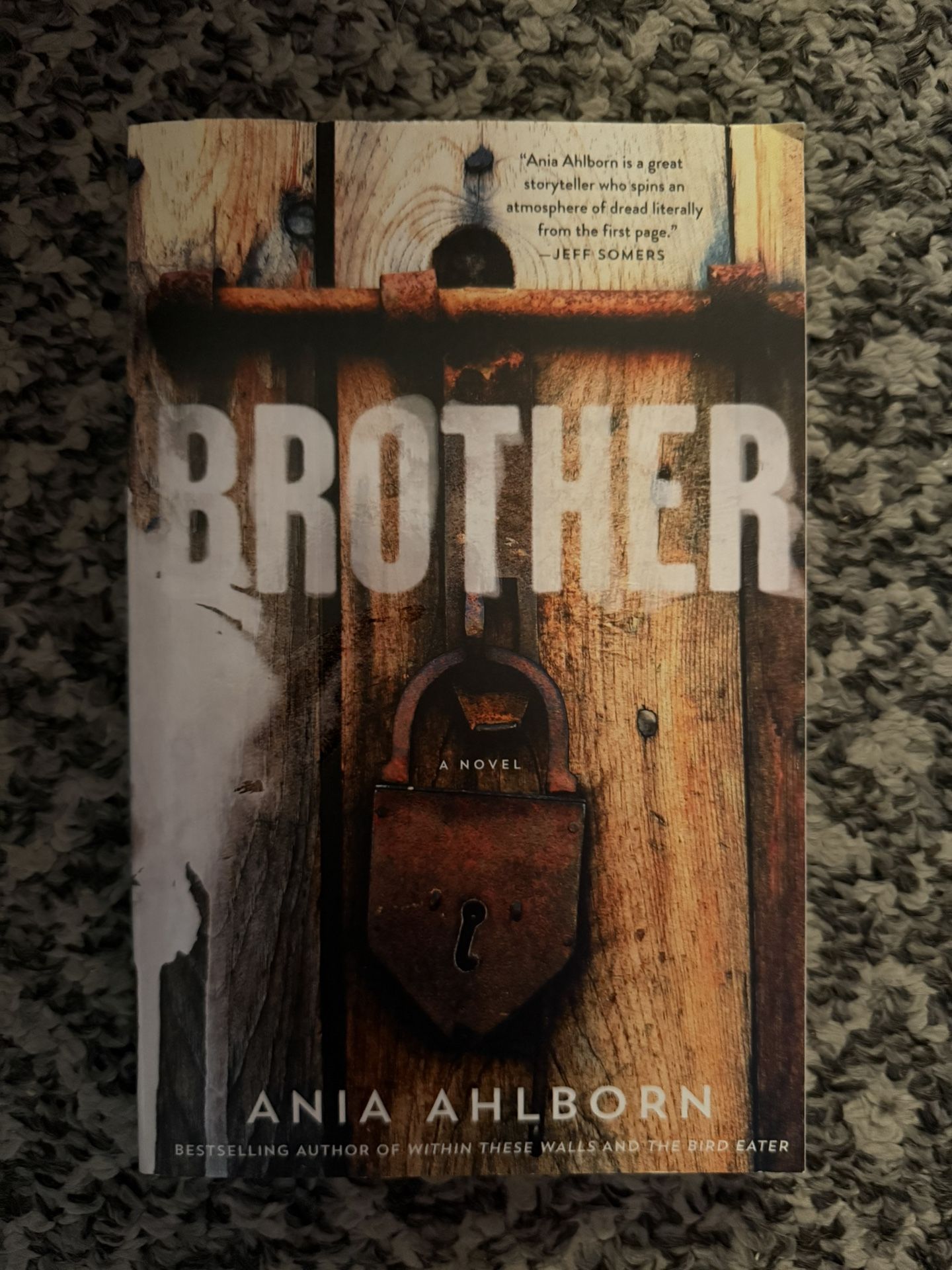 Brother Book By Ania Ahlborn