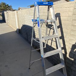 Werner 6ft Ladder