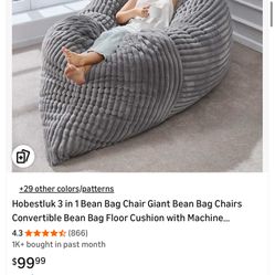 Large Adult Beanbag Chair