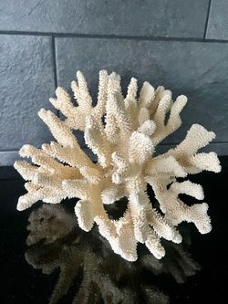 Pottery Barn XL Prickly Coral
