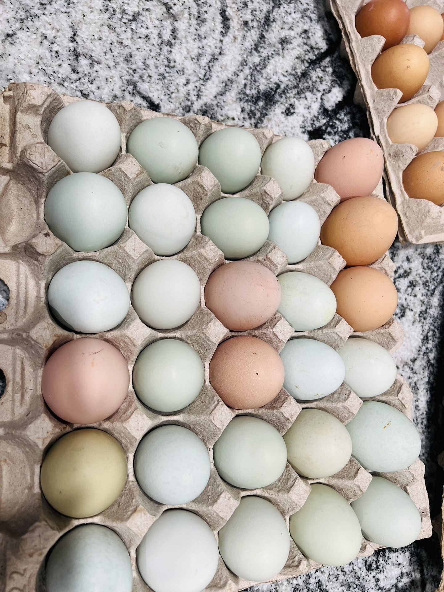 Green Eggs