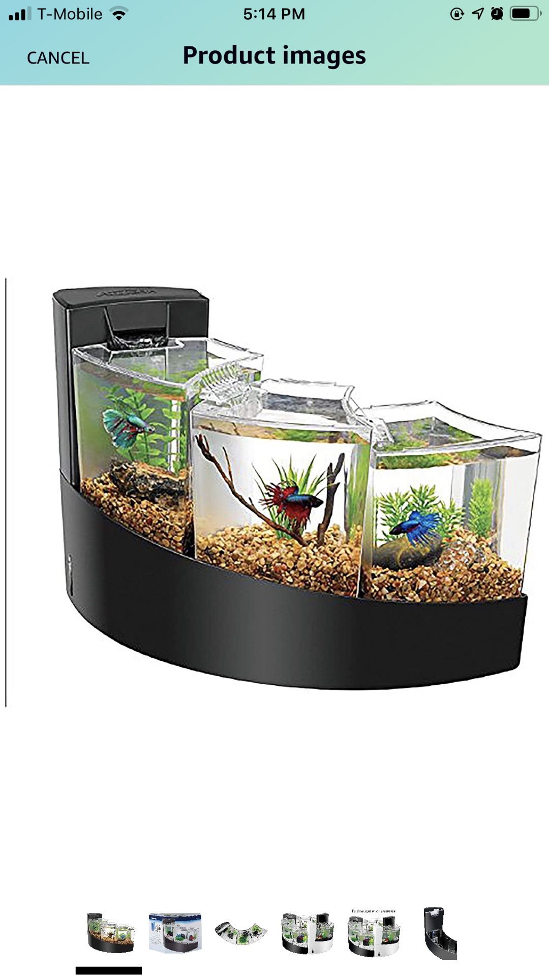 Beta fish tank Cascade 3 in 1