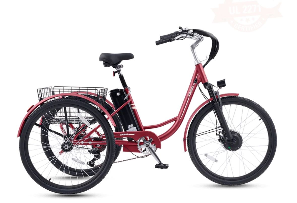 Electric Tricycle Viribus TG1