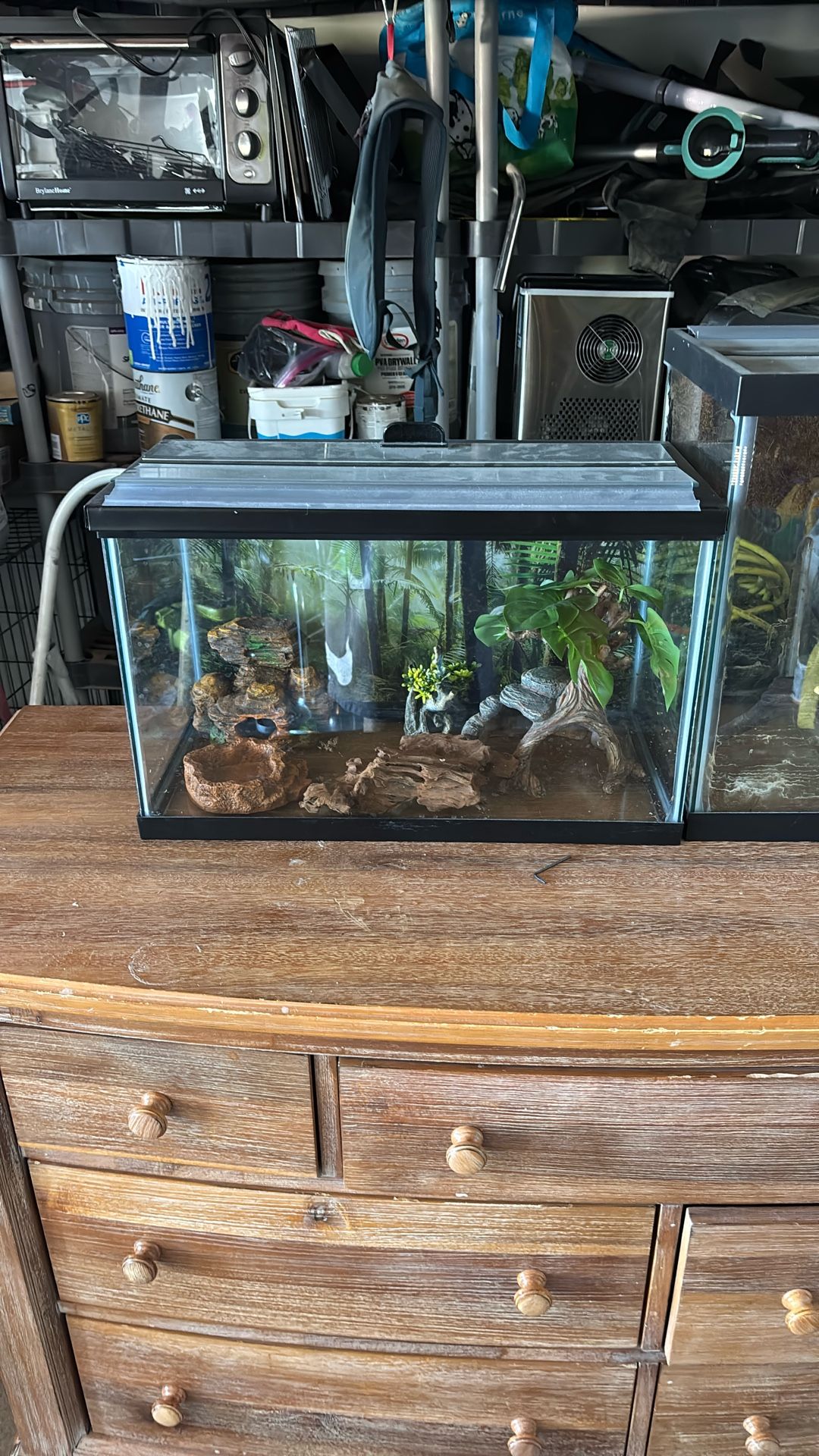Terrarium