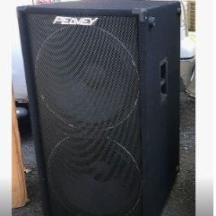 18 Inch Peeavy Concert Speaker