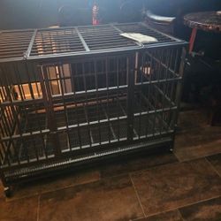Dog Cage 