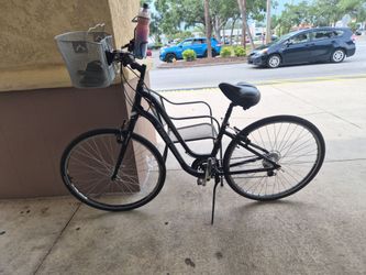 Trek Verve 1 Alpha Gold