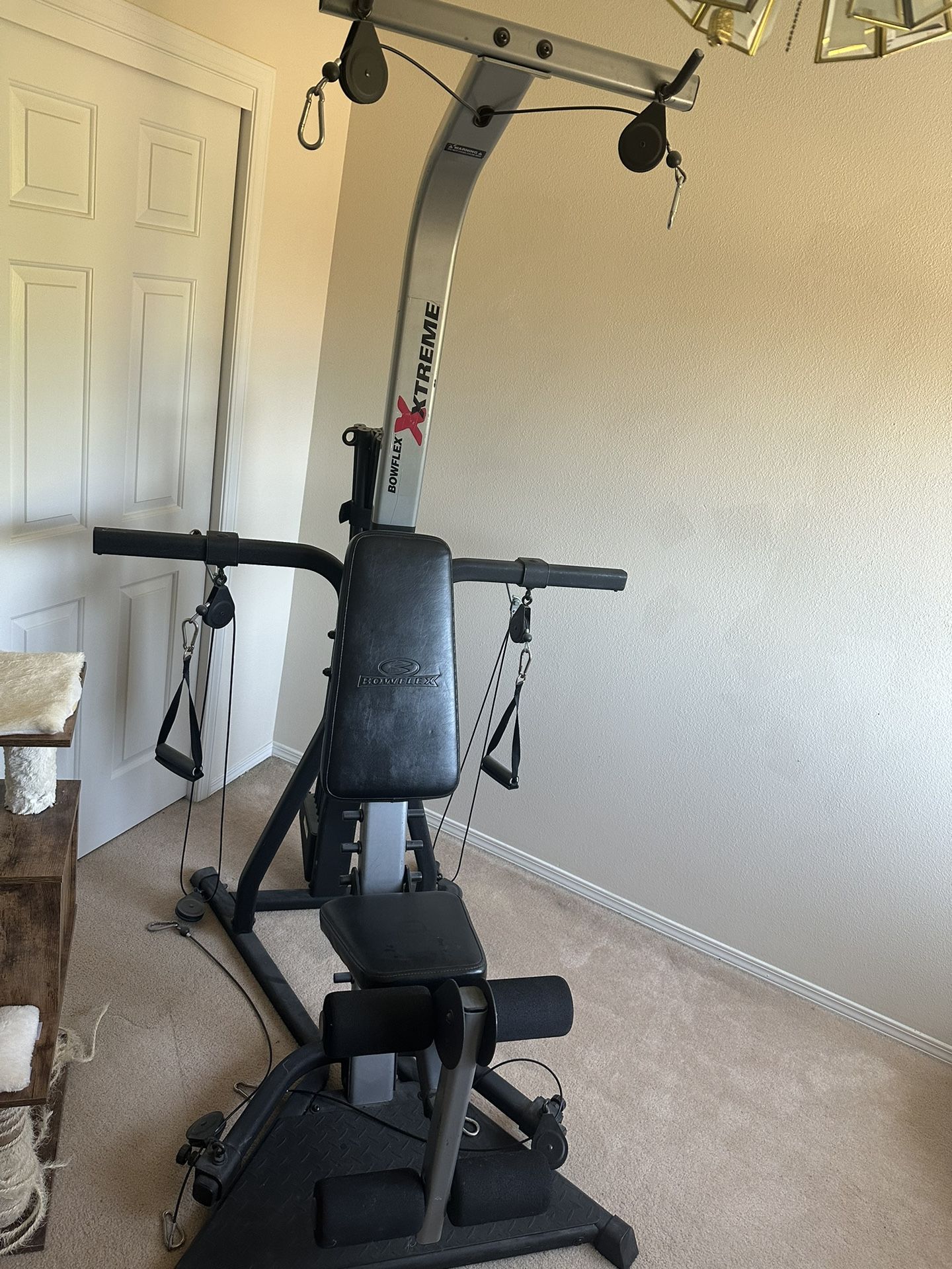 Bowflex And Power Tower