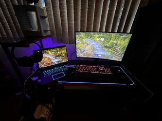 ENTIRE GAMING SETUP