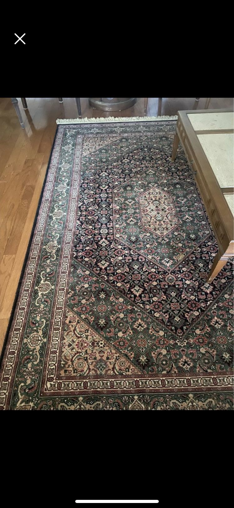 Karastan Persian Rug