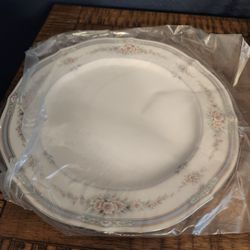 6 dinner plates, brand new, never used. $15 each obo. Sells for $36 new. Great Bridge in chesapeake