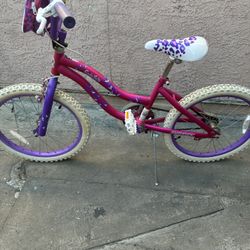 Dynacraft 20” Giles Rules Bike