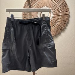 The North Face Shorts