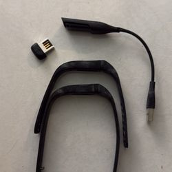 fit bit