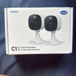 Indoor/outdoor WiFi Security Cameras
