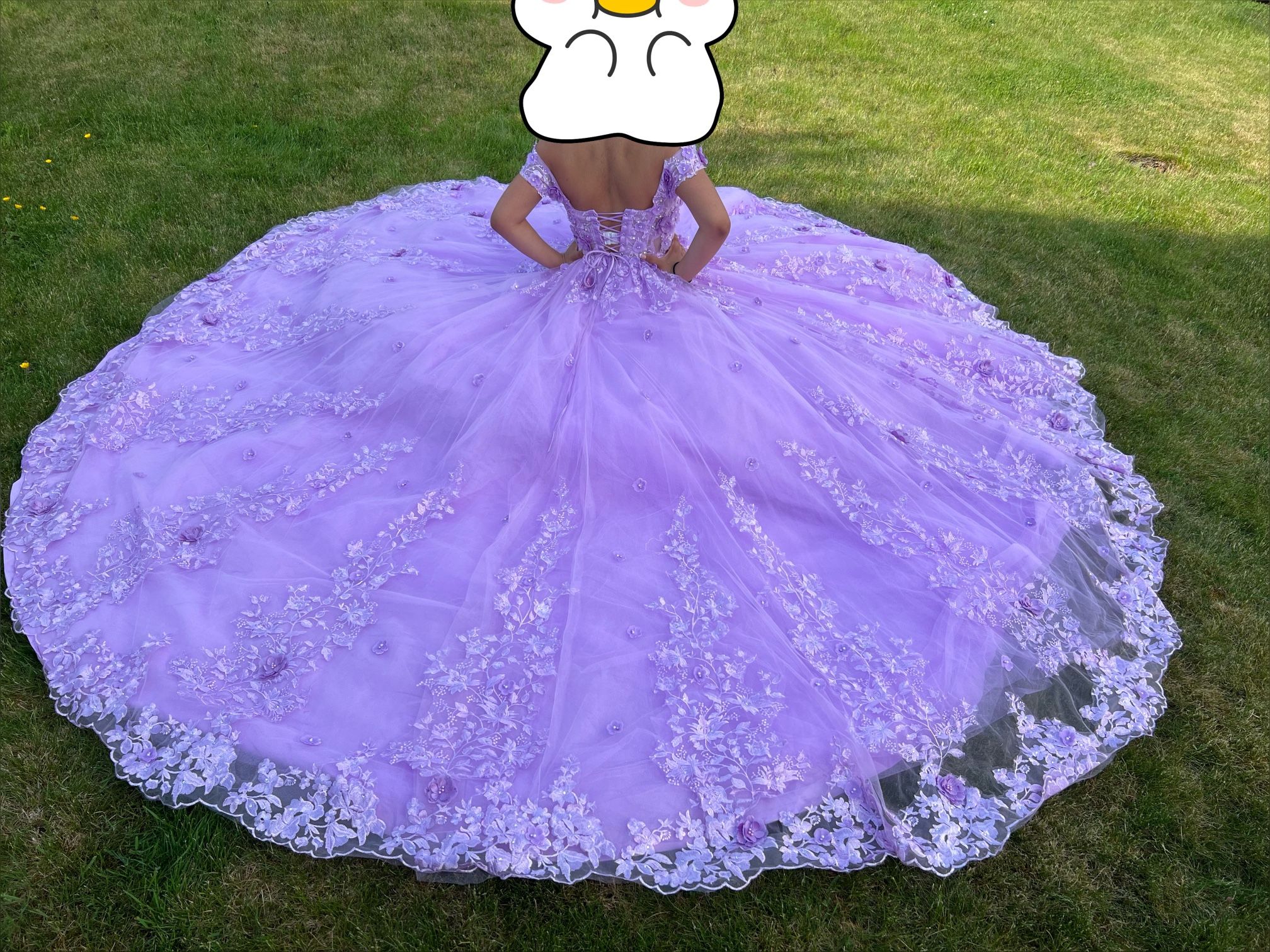 Quinceanera Dress 