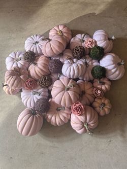 Pumpkin Bundle