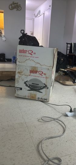 Weber Q 100 gas grill