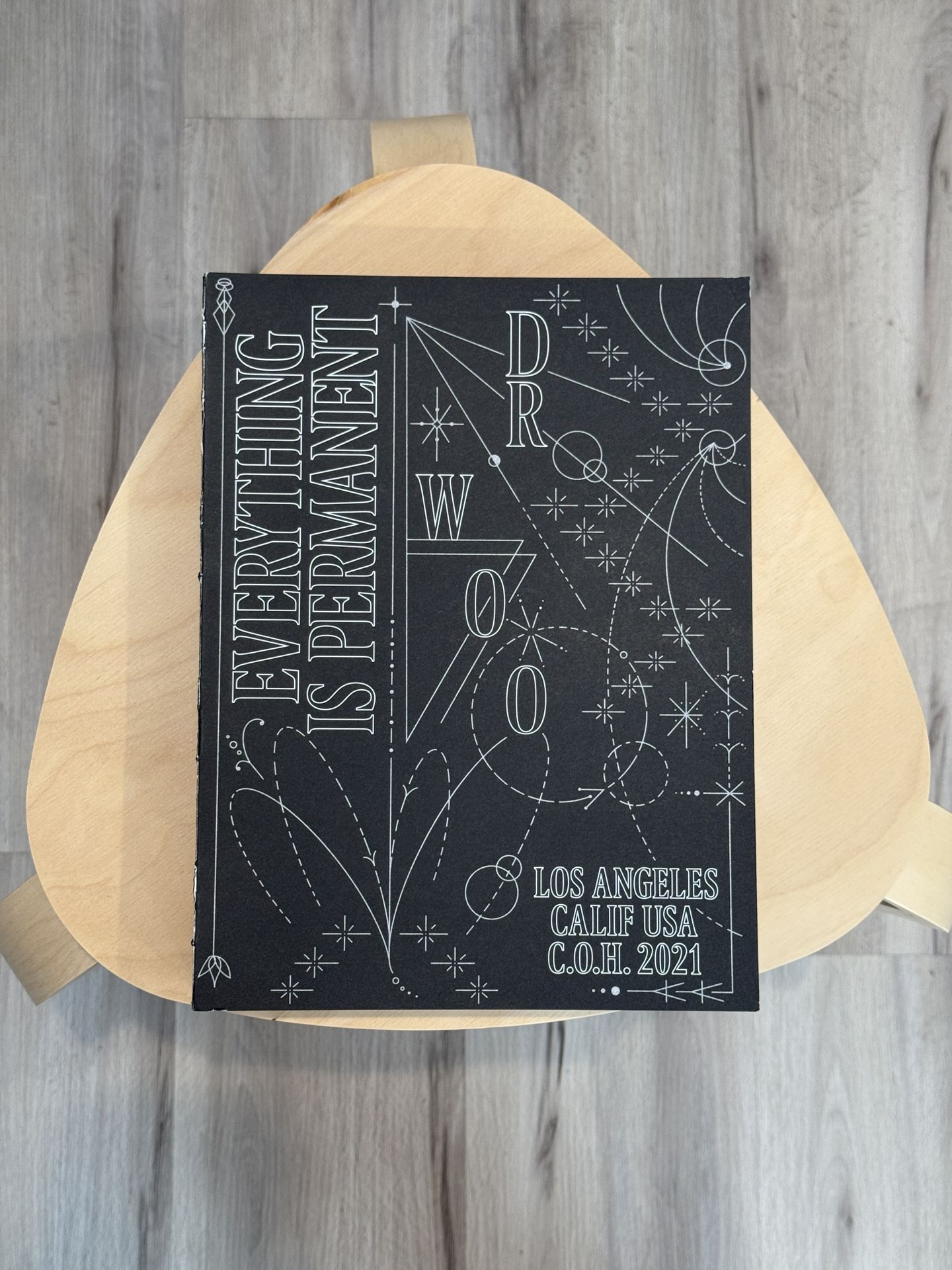 Dr Woo Everything Is Permanent Book