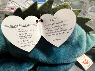 Iggy Collector Beanie Baby